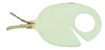 Large Spoonfish Magnet - Click Image to Close